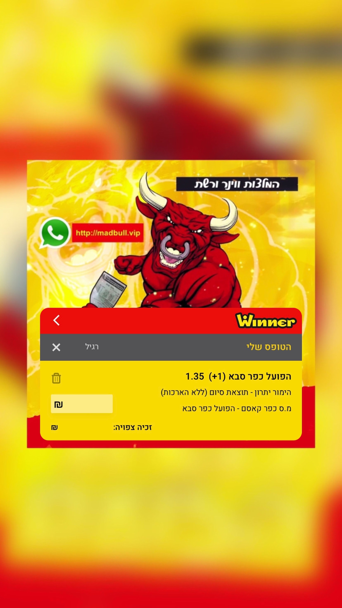 המלצת כדורגל 01\20 – ג