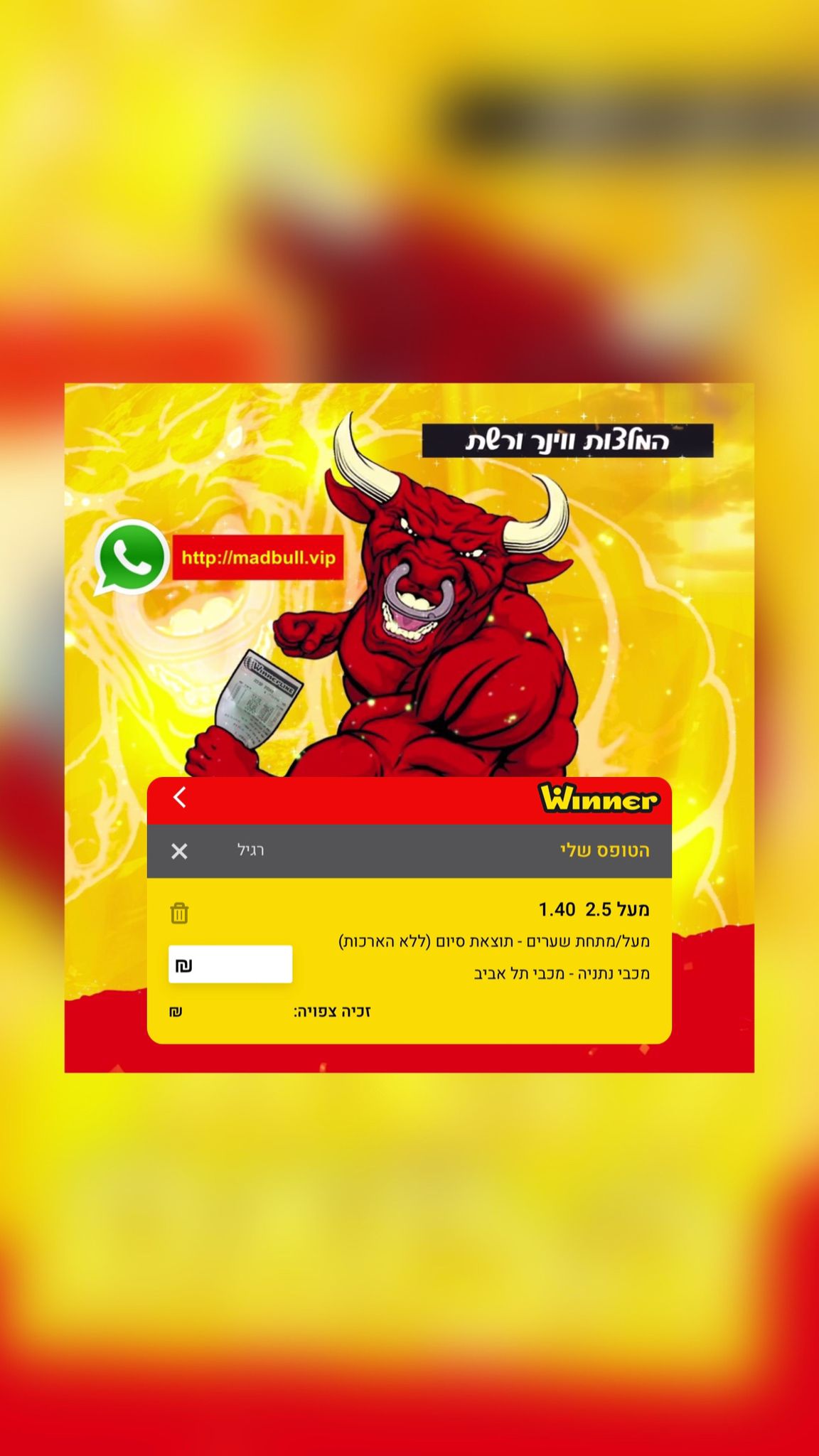 המלצת כדורגל 02\13 – ג